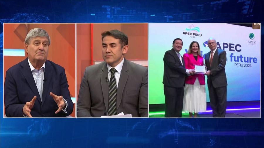 <span>APEC Ciudadano 2024</span>