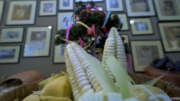 Maíz: sabor milenario