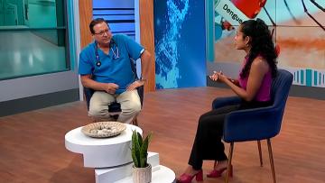 ¡Alto al dengue!