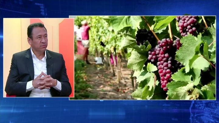 Puntos clave para la agroexportación 